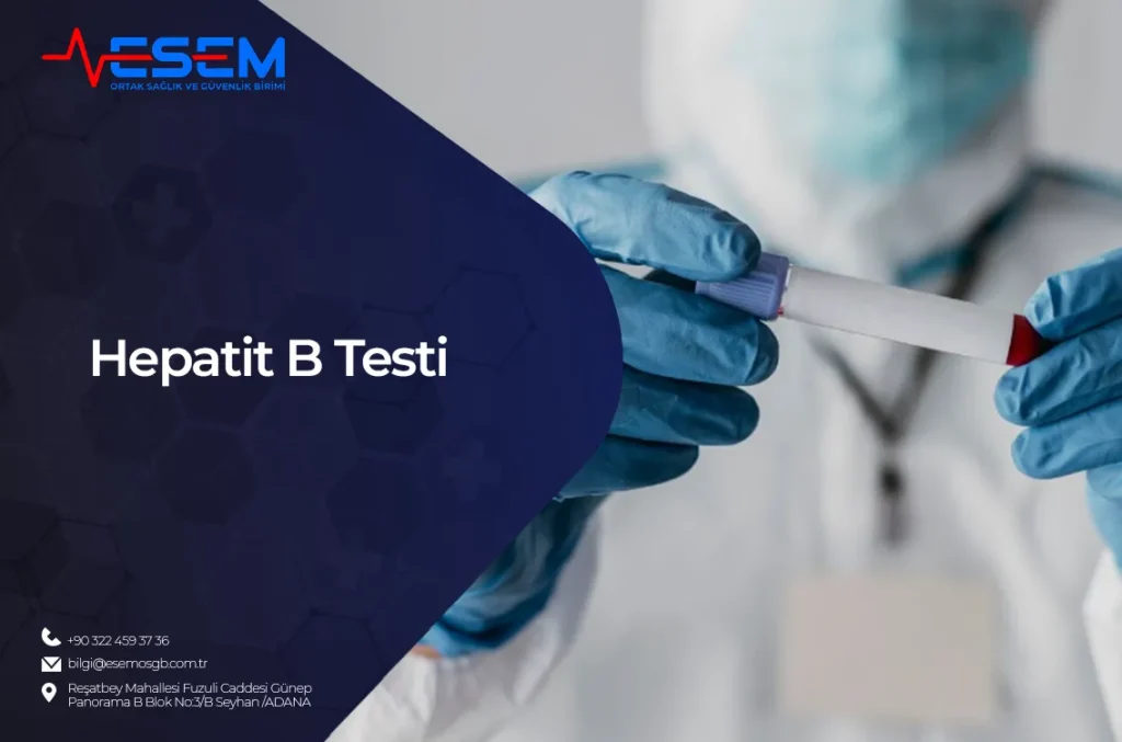 Hepatit B Testi